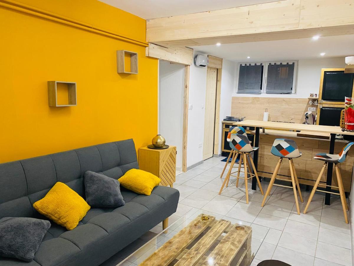 Studio 40M2 Plein Pied Avec Parking Jussac Exterior foto
