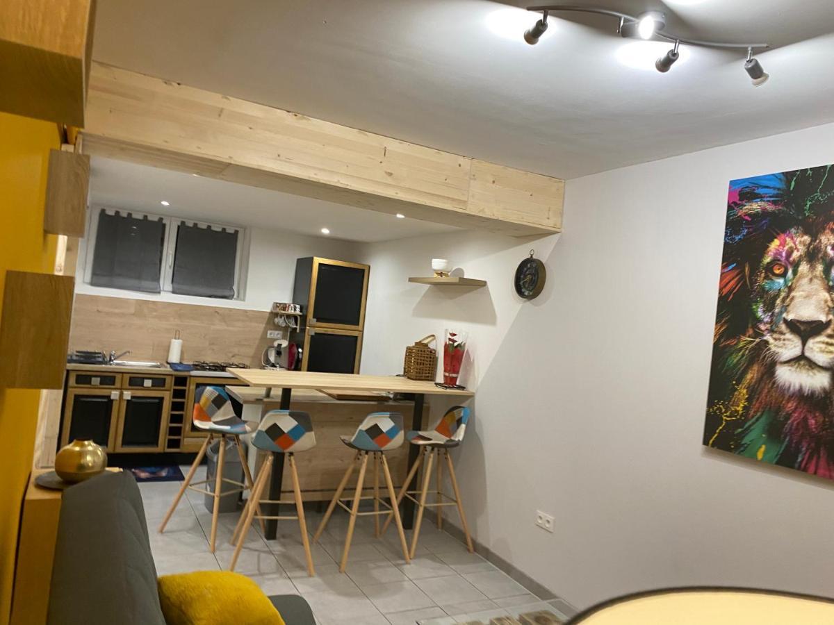 Studio 40M2 Plein Pied Avec Parking Jussac Exterior foto